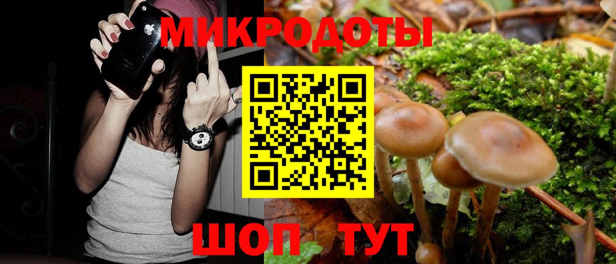 Галлюциногенные грибы MAGIC MUSHROOMS Заводоуковск