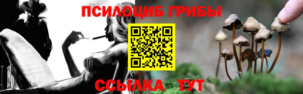 Заводоуковск  закладка  Вход с VPN  Псилоцибиновые грибы мухоморы 
